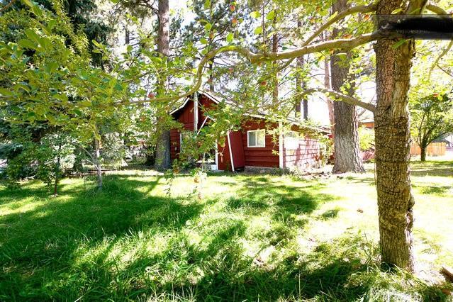 Green Cabin In Big Bear Lake 3 Bdr Pets Friendly Big Bear City Exteriör bild